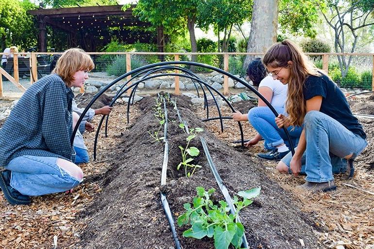 two pitzer students plant seedlings in the pitzer garden