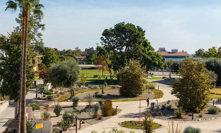 a student walks through holden garden